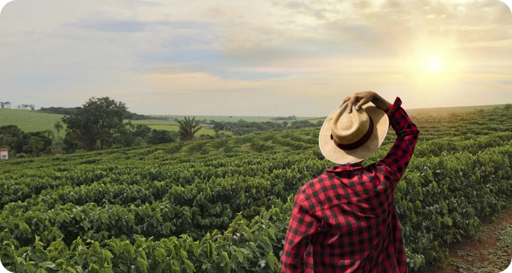 farmer on the field